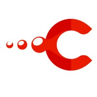 Chronicle Info logo - Similar company to Exports News