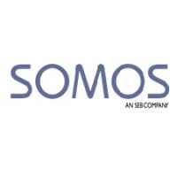 SOMOS Consulting Group logo - Similar company to It Net