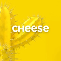 Cheeselab420 logo - Similar company to Algoritmo Studio