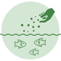 Rural Aquaculture Development Global logo - Similar company to Onside Events
