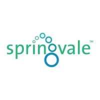Springvale EPS Ltd logo - Similar company to Styrene Packaging & Insulation Ltd