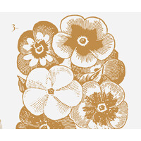 Pansy Hill