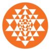 AP IIFL SECURITIES PVT LTD logo - Similar company to Stats_N_Money