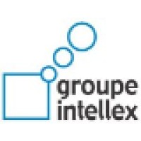 Groupe Intellex logo - Similar company to Circular Data Solutions Ltd