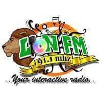 Lion Fm 91.1 logo - Similar company to Rectangool
