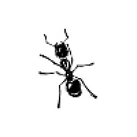 AntWorks SRL logo - Similar company to Algosmatic