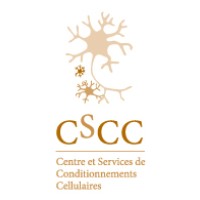 CSCC logo - Similar company to Cscc