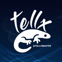 TellxSoft Innovations logo - Similar company to Digital Service Ec