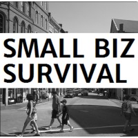 Small Biz Survival logo - Similar company to Saveyour.Town