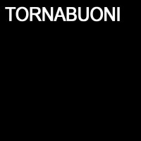 Tornabuoni logo - Similar company to Global Sky