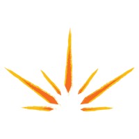 Start 1 Spark logo - Similar company to Dauvco