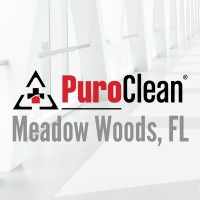 PuroClean of Meadow Woods logo - Similar company to Everlast Brands