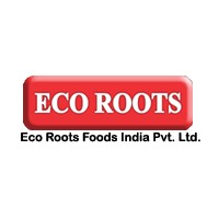 Eco Roots Foods India Private Limited logo - Similar company to Dot Berrys