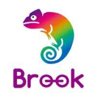 Brook Gaming logo - Similar company to Zeroplus Technology Co., Ltd.