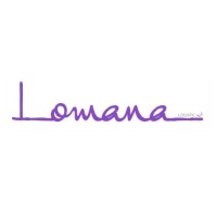 LOMANA LOGISTIC S.L logo - Similar company to Jcv Intercontainer Sl