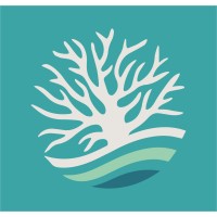 SeaCarbon logo - Similar company to Cyns