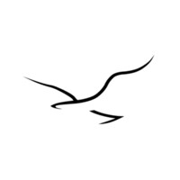 Silver Gull Innovation Inc. logo - Similar company to Impact Link