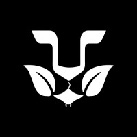 WINAID logo - Similar company to Espaanglisch