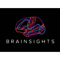 Brainsights logo - Similar company to Midnight Team ميدنايت تيم