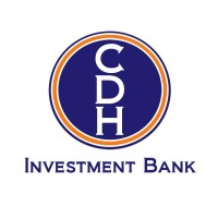 CDH Investment Bank Ltd logo - Similar company to Bravore
