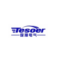 霆翔电气（上海）有限公司