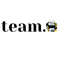 Team-ZF logo - Similar company to Zf Transmissions