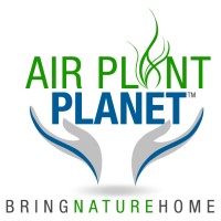 Air Plant Planet logo - Similar company to Pragati Solutions