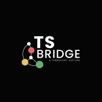 TS Bridge logo - Similar company to Ken42