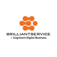 BRILLIANTSERVICE CO.,LTD. logo - Similar company to Adaptra