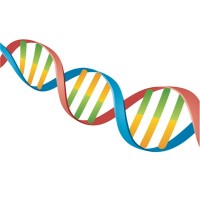 JH Consulting Biotech Executive Search logo - Similar company to Flovia