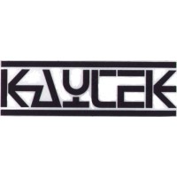 Kaytek Computer Services Private Limited logo - Similar company to Elitearc Inc.