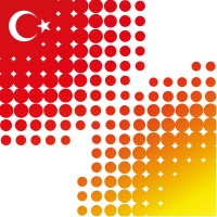 Cámara Oficial de Comercio e Industria Hispano-Turca logo - Similar company to Ics Inventory, Llc