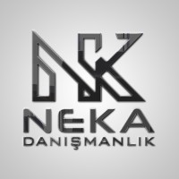 NEKA Consultancy logo - Similar company to Li Teknoloji