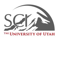 Scientific Computing And Imaging Institute At The University Of Utah