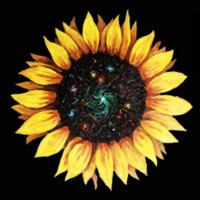 Climate Revival logo - Similar company to Renaissance94