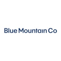 Blue Mountain Co logo - Similar company to 360Itguru