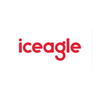 Iceagle logo - Similar company to Creaton Romania