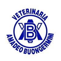 AMADEO BUONGERMINI SRL logo - Similar company to Aconcagua S.A.