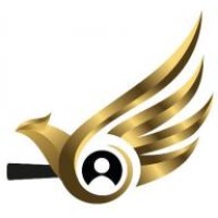 Phoenix Headhunting Agency LLC logo - Similar company to Primo Solutionz