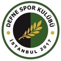 İstanbul Defne Spor Kulübü logo - Similar company to İstanbul Avrupa Spor Kulübü