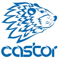 Castor - Sindicatos e Associações logo - Similar company to Corecon-Sp