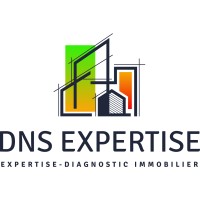 DNS EXPERTISE logo - Similar company to Chape & Co