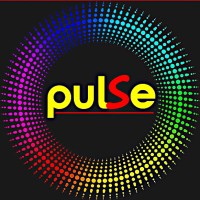 Pulse logo - Similar company to 1Crore Projects