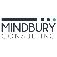 Mindbury logo - Similar company to Unreal Fields
