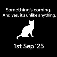 UnlikeAnything logo - Similar company to Am Beyond*