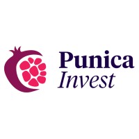 Punica Invest GmbH logo - Similar company to Commodity Capital Ag