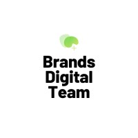 BDTEAM => Strivv Inside experts by Labelium logo - Similar company to Strivv - Inside Experts By Labelium