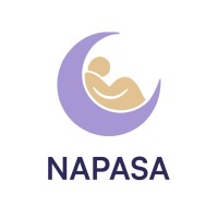 Napasa Pvt.Ltd logo - Similar company to Twinn Data