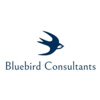 Bluebird Consultants, LLC. logo - Similar company to Bluebird Consulting Ag