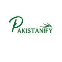 Pakistanify logo - Similar company to Optimus Bee